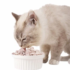 Nourriture pour chat